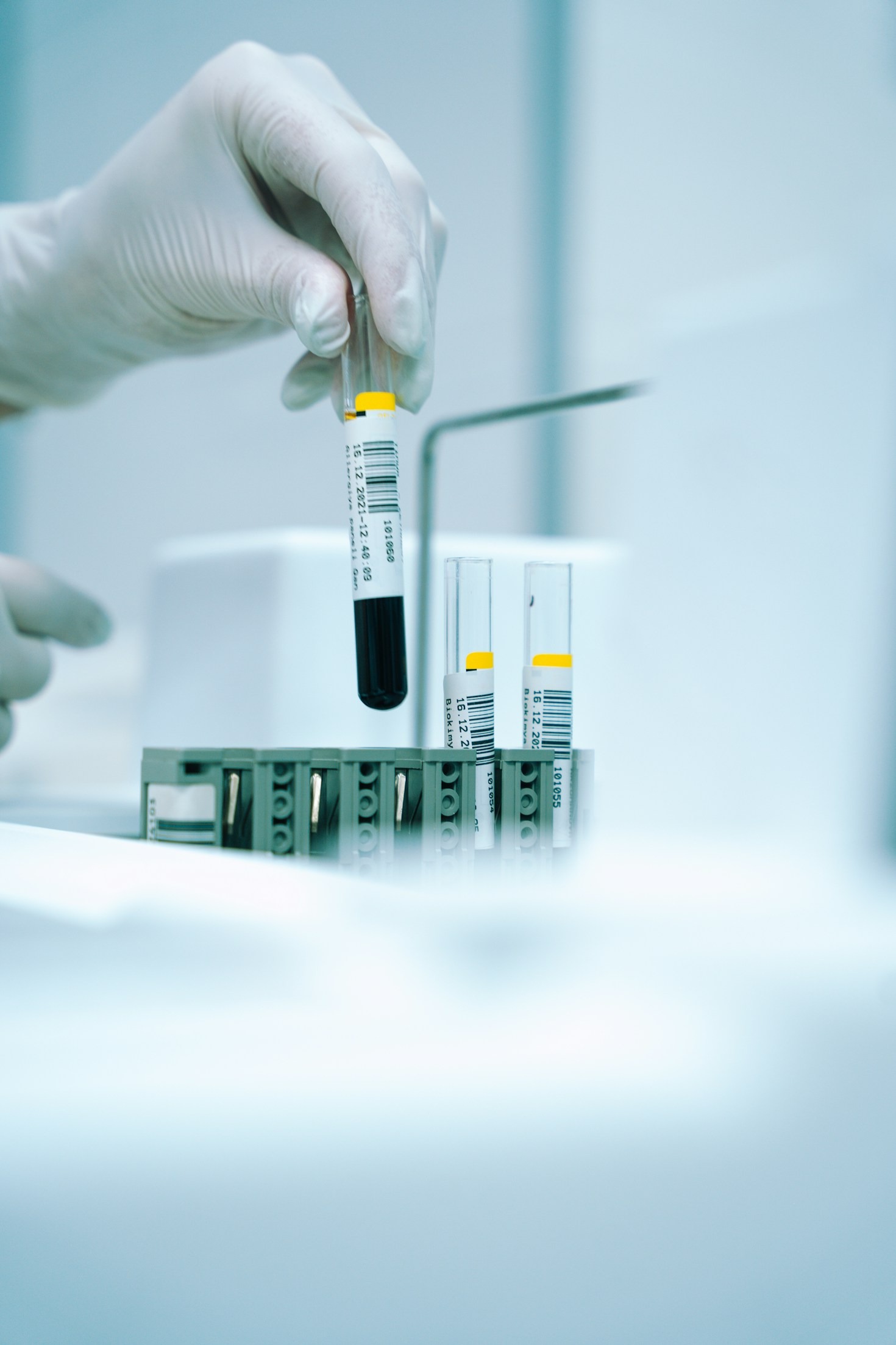 Maintaining Purity Standards In Modern Laboratories